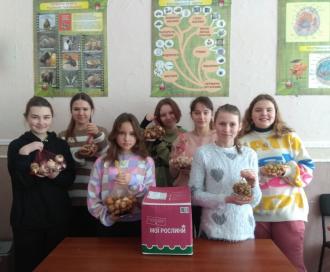 /Files/images/golod/вітик.jpg